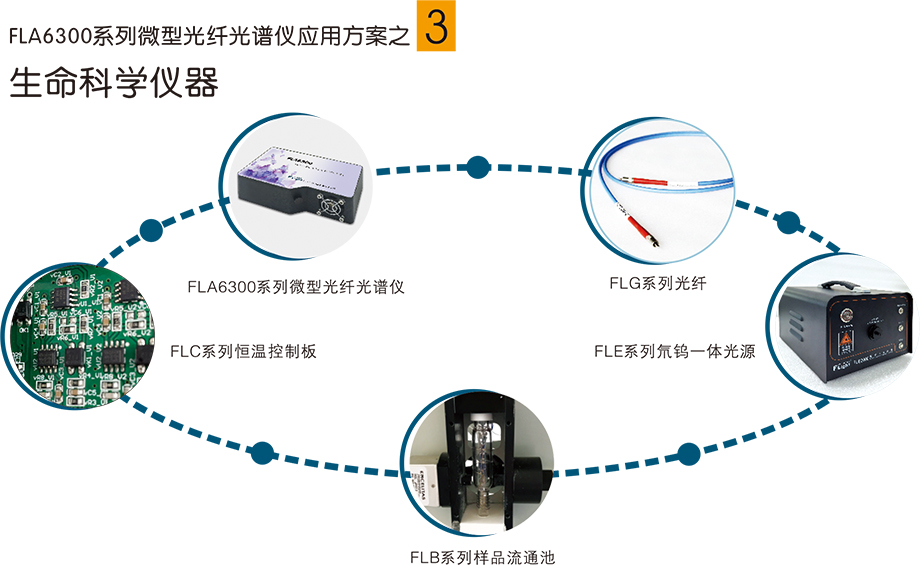 2025樣本-光譜儀系列-2(1)-17-3.jpg